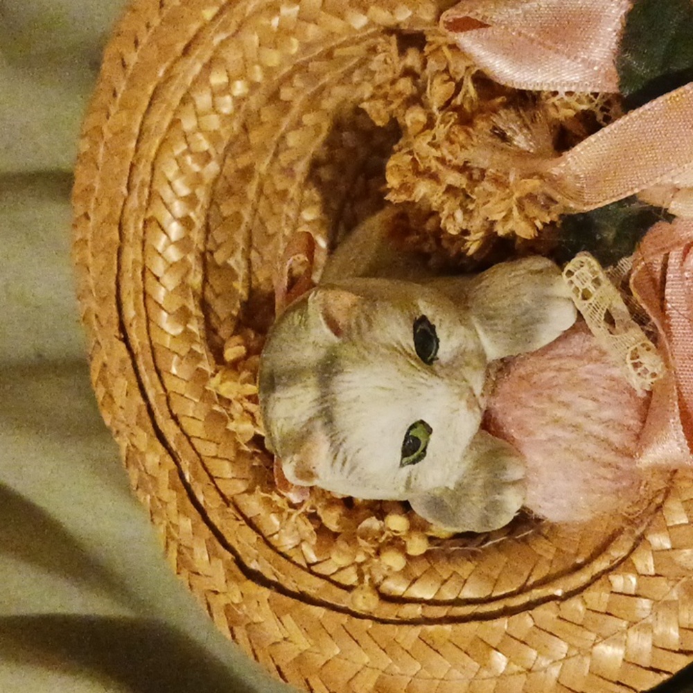 Cat in a hat
